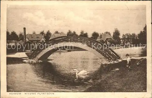 Bussum Nieuwe Plantsoen Schwan Bruecke Kat. Niederlande