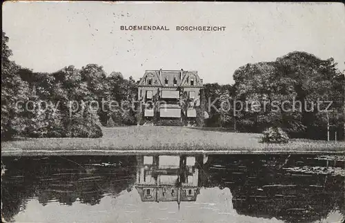 Bloemendaal Boschgezicht Kat. Niederlande