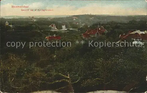 Bloemendaal Gezicht van af Koninginneduin Kat. Niederlande