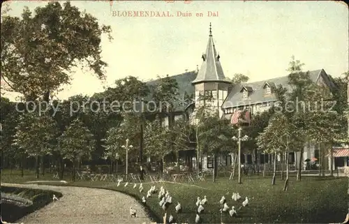 Bloemendaal Duin en Dal Enten Kat. Niederlande