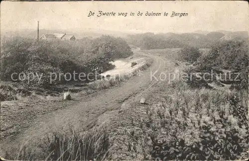 Bergen aan Zee De Zwarte weg in de duinen Duenen / Niederlande /