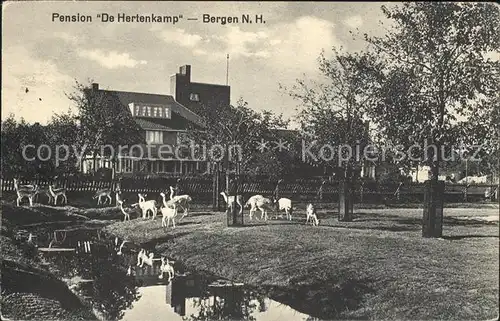 Bergen aan Zee Pension De Hertenkamp Wildgehege / Niederlande /