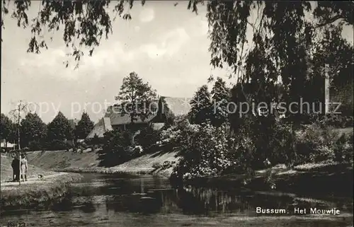 Bussum Het Mouwtje Kat. Niederlande