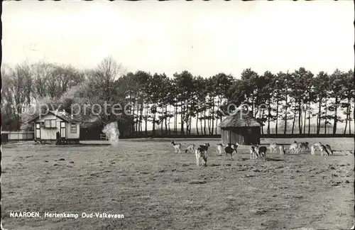 Valkeveen Naarden Hertenkamp Tiergehege Kat. Niederlande