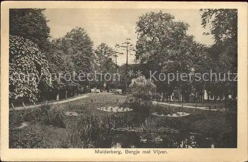 Muiderberg Bergje met Vijver Kat. Niederlande