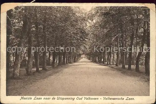 Valkeveen Naarden Mooiste Laan naar de Uitspanning Oud Valkeveen Baumallee Kat. Niederlande