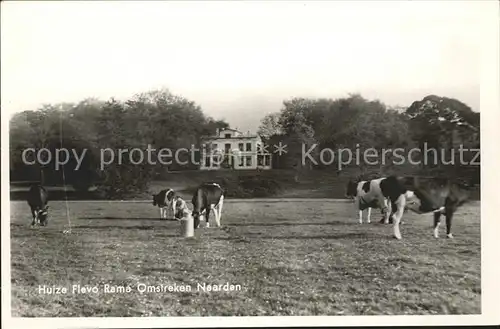 Naarden Huize Flevo Rama Omstreken Viehweide Kuehe Kat. Niederlande