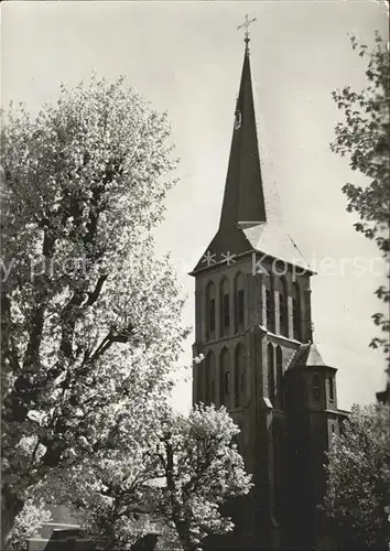 Balk Kerk Kirche Baumbluete