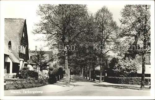 Haren Groningen Terborgsteeg