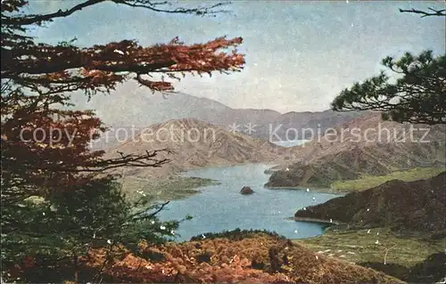 Japan Panorama Kawaguchi Lake Kat. Japan