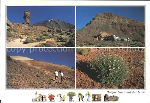 Tenerife Parque Nacional del Teide Kat. Islas Canarias Spanien