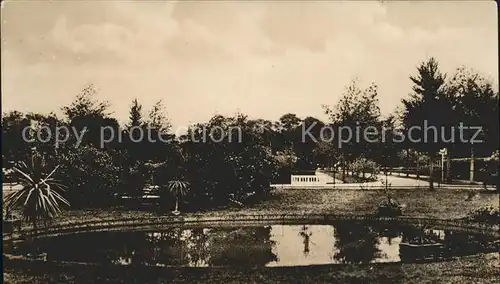 Dokkum Park Teich