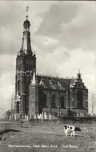 Beetsterzwaag Ned Herv Kerk Oud Beets Kirche Friedhof Kuh Kat. Niederlande