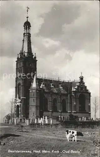 Beetsterzwaag Ned Herv Kerk Oud Beets Kirche Friedhof Kuh Kat. Niederlande