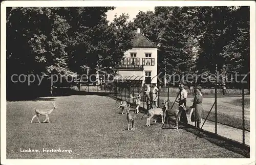 Lochem Hertenkamp Tierpark