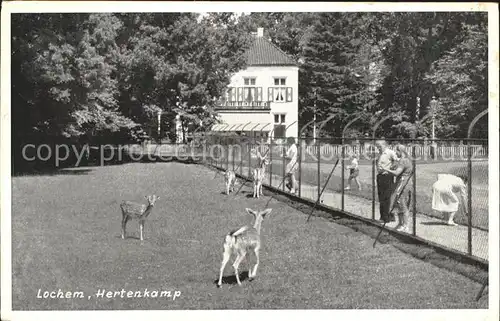 Lochem Hertenkamp Tierpark