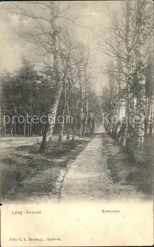 Laag Soeren Gelderland Berkenlaan