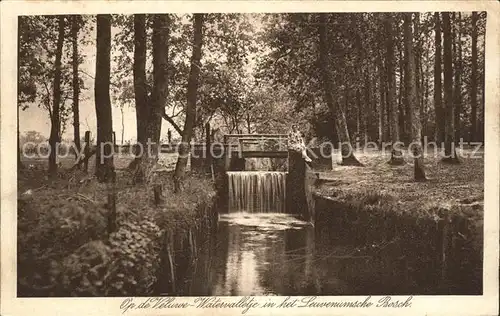 Loenen Watervalletje in het Leuvenumsche Bosch Wasserfall Kat. Veluwe