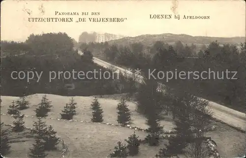 Loenen Panorama bij den Uitzichttoren De Vrijenberg Kat. Veluwe