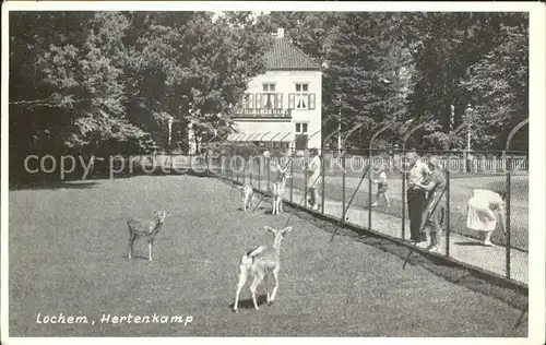 Lochem Hertenkamp Tierpark