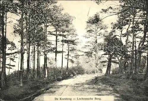 Lochem De Koesteeg Lochemsche Berg