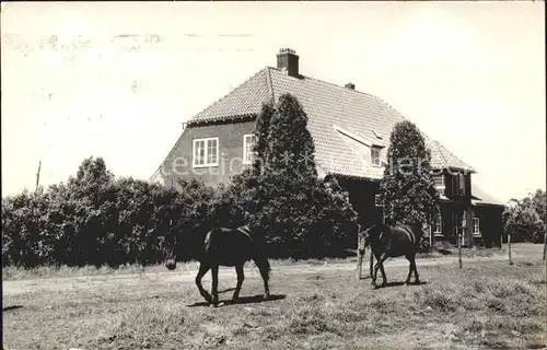 Lochem Landgoed Ruighenrode Kamphuis Wilde Zand Pferde