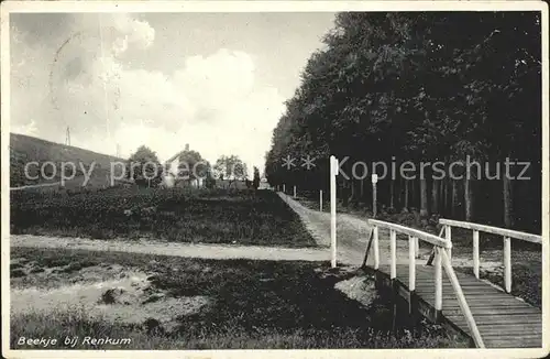 Beekje Weg Holzbruecke Partie am Wald