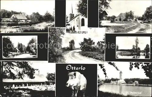 Otterlo Gelderland Lage Veld Kerk Mossel Kopelen Kop St Hubertus Weg Wildschwein