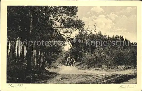 Leur Etten Driehoek Waldpartie