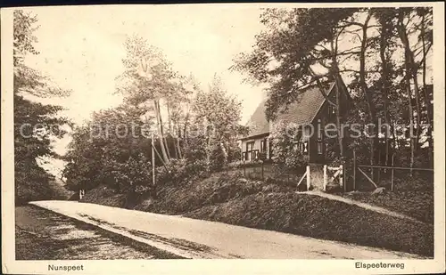 Nunspeet Elspeeterweg Kat. Nunspeet