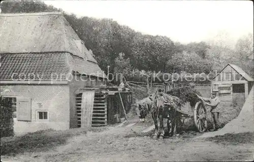 Velp Arnhem Rozendaal Pferdekutsche