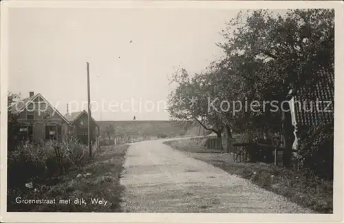 Wely Gelderland Groenestraat dijk