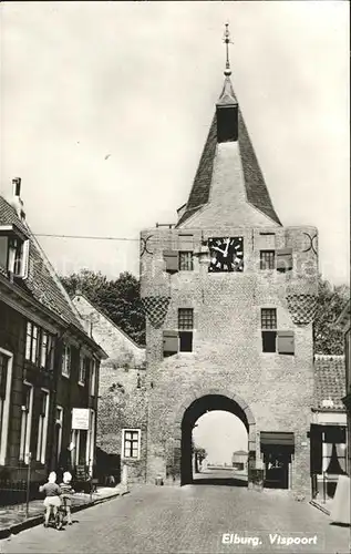 Elburg Vischpoort Kat. Niederlande