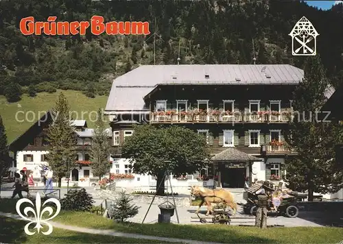 Badgastein Hotel Gruener Baum Pferdekutsche Kat. Bad Gastein