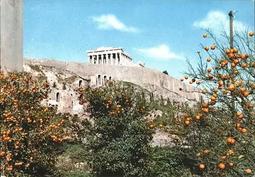 Athenes Athen Akropolis Tempel Ruine Antike Orangenbaum Kat. Griechenland