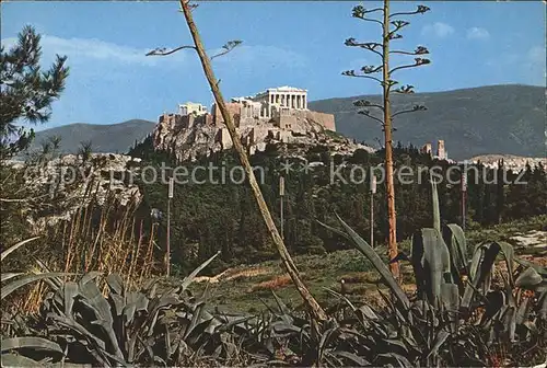 Athenes Athen Akropolis Tempel Ruine Antike Kat. Griechenland