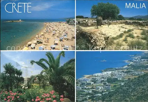 Malia Strand Panorama Vegetation Kat. Insel Kreta