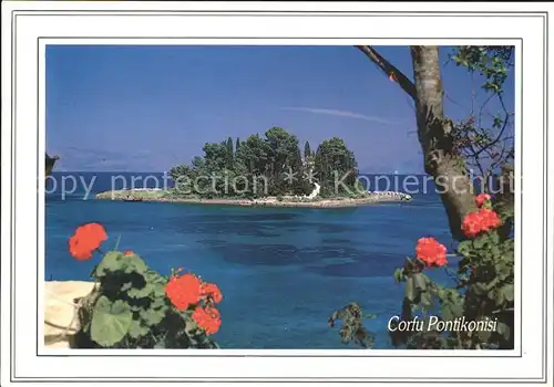 Corfu Korfu Pontikonissi Maeuseinsel Blumen Kat. Griechenland