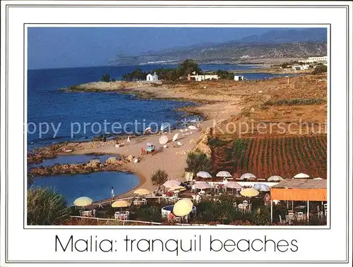 Malia Strand Kat. Insel Kreta