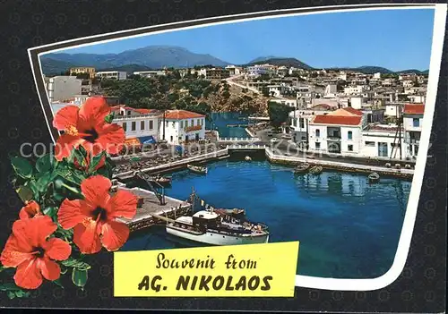 Agios Nikolaos Kreta Blumen Hafen Boote