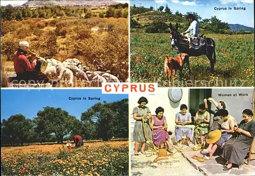 Cyprus Zypern Spring Shepherd Women Work Esel Hund Kat. Zypern