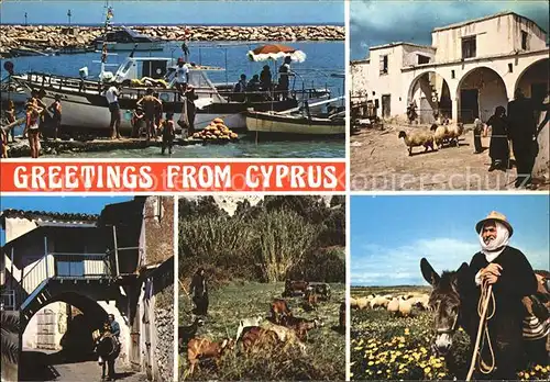 Zypern Cyprus Hafen Esel Schafe Boot  Kat. Zypern