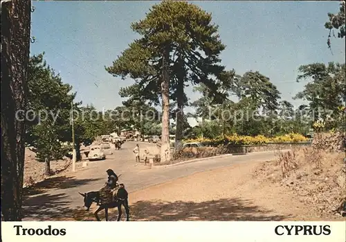 Zypern Cyprus Troodos Kat. Zypern