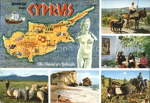 Zypern Cyprus Aphrodite Esel Schafe Strand  Kat. Zypern