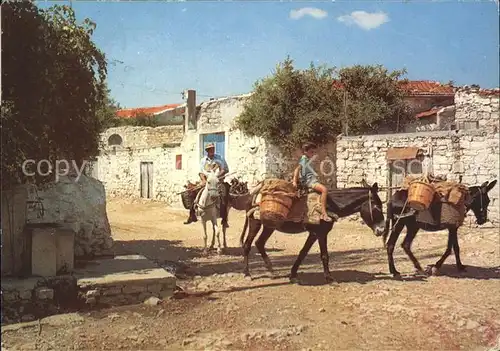 Zypern Cyprus Baurisches Leben Kat. Zypern