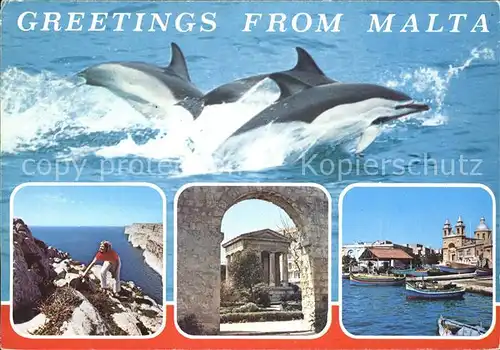 Malta Delphin Boote  Kat. Malta