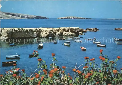 Malta St. Pauls Bay Bucht Boote