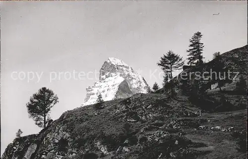 Herbrigg  Kat. Zermatt