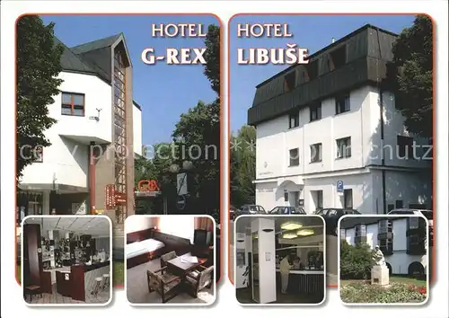 Lazne Podebrady Hotel G Rex und Hotel Libuse Kat. Tschechische Republik