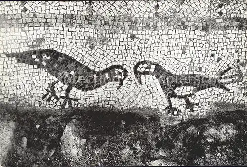 Evron Israel Detail of Mosaic Pavement in 5th Century
